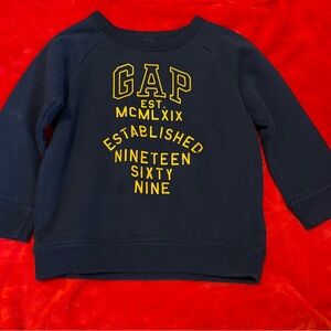 Toddler gap sweatshirt 3t